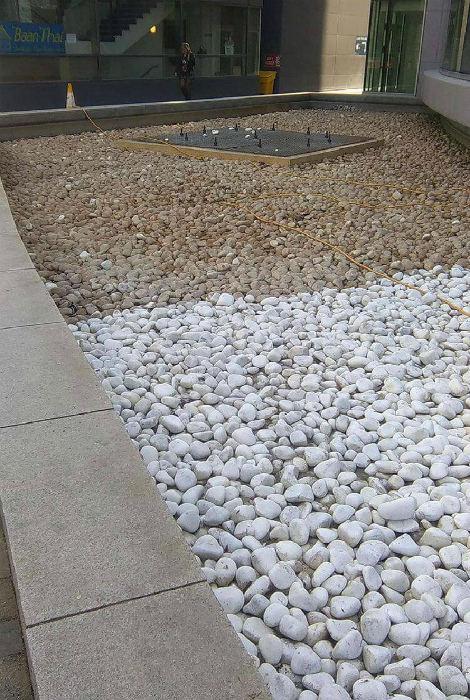  Жизнь под Лампой!