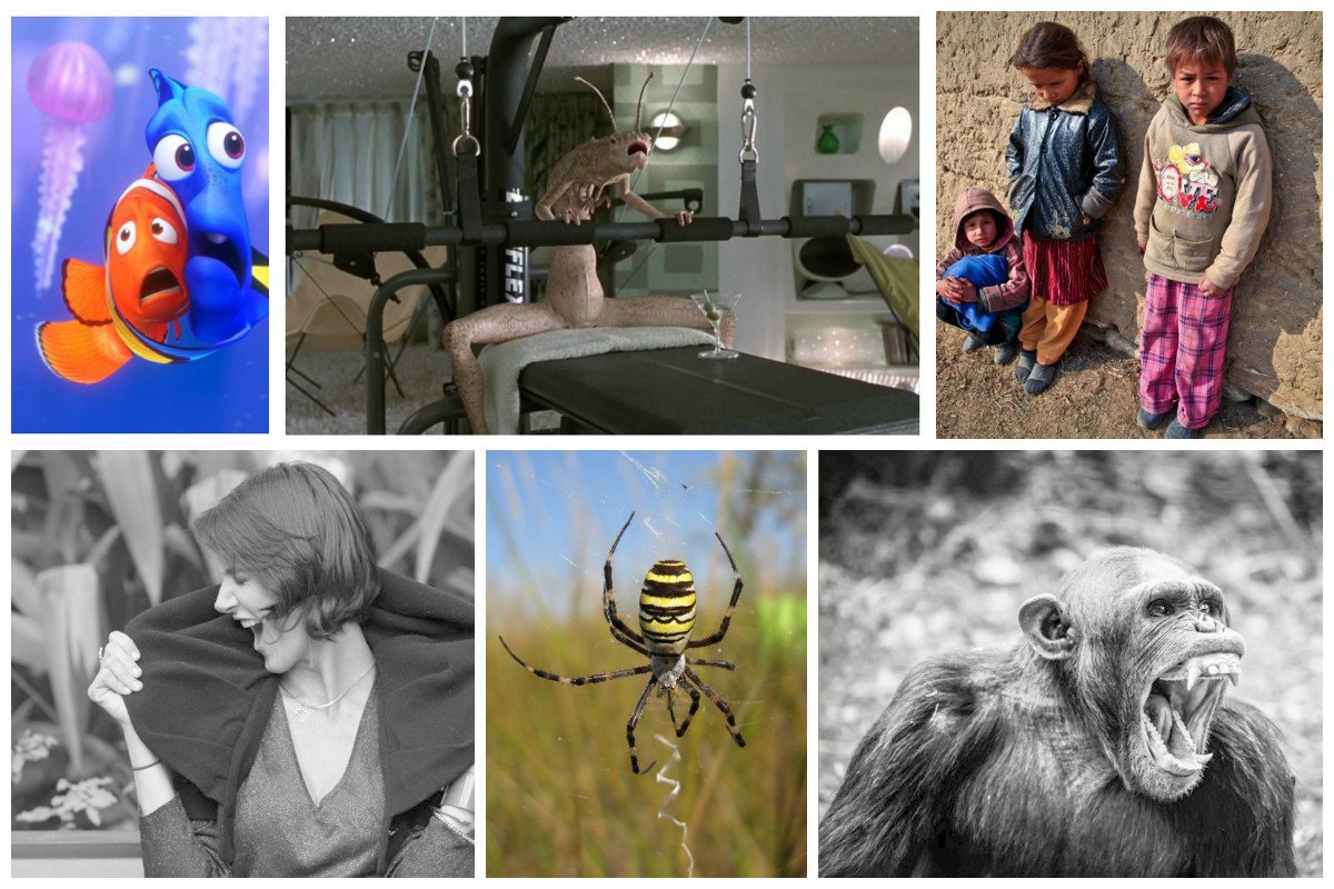 Идеи для необычных фотографий. И с помощью таких интересных. Интересные идеи для фотосессии. Креативные идеи. И с помощью таких интересных.