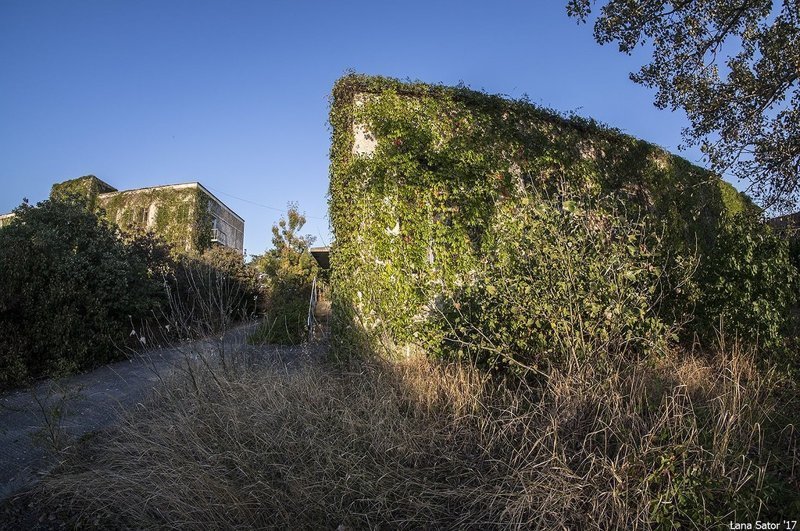 Заросший пионерский лагерь в Крыму Заросший пионерский лагерь в Крыму самостоятельные путешествия,туризм