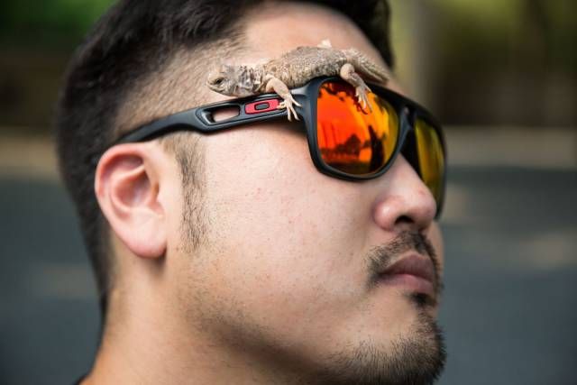 Подборка зачетных картинок и фото приколов из сети Подборка зачетных картинок и фото приколов из сети приколы,прикольные картинки,смешные картинки,фото приколы,юмор