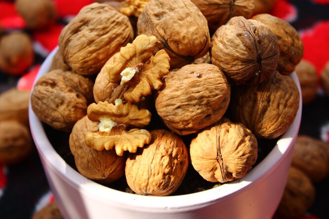 Почему вам обязательно нужно добавить грецкие орехи в свой рацион: 6 полезных свойств «царского желудя»