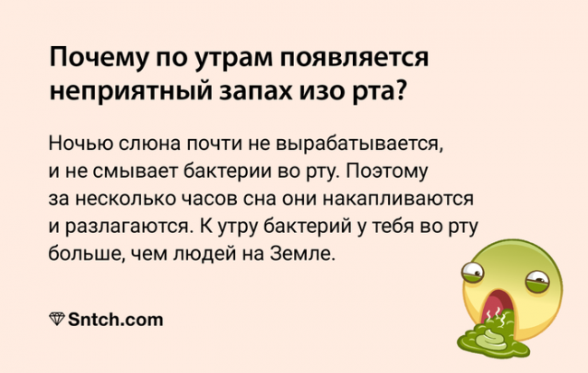 Так и знал, что там кто-то умирает каждое утро
