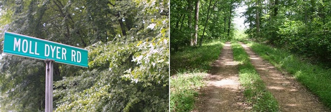 История о ведьме по имени Молл Дайер (Moll Dyer) одна из страшилок, что в штате Мэриленд рассказывают на Хэллоуин.
