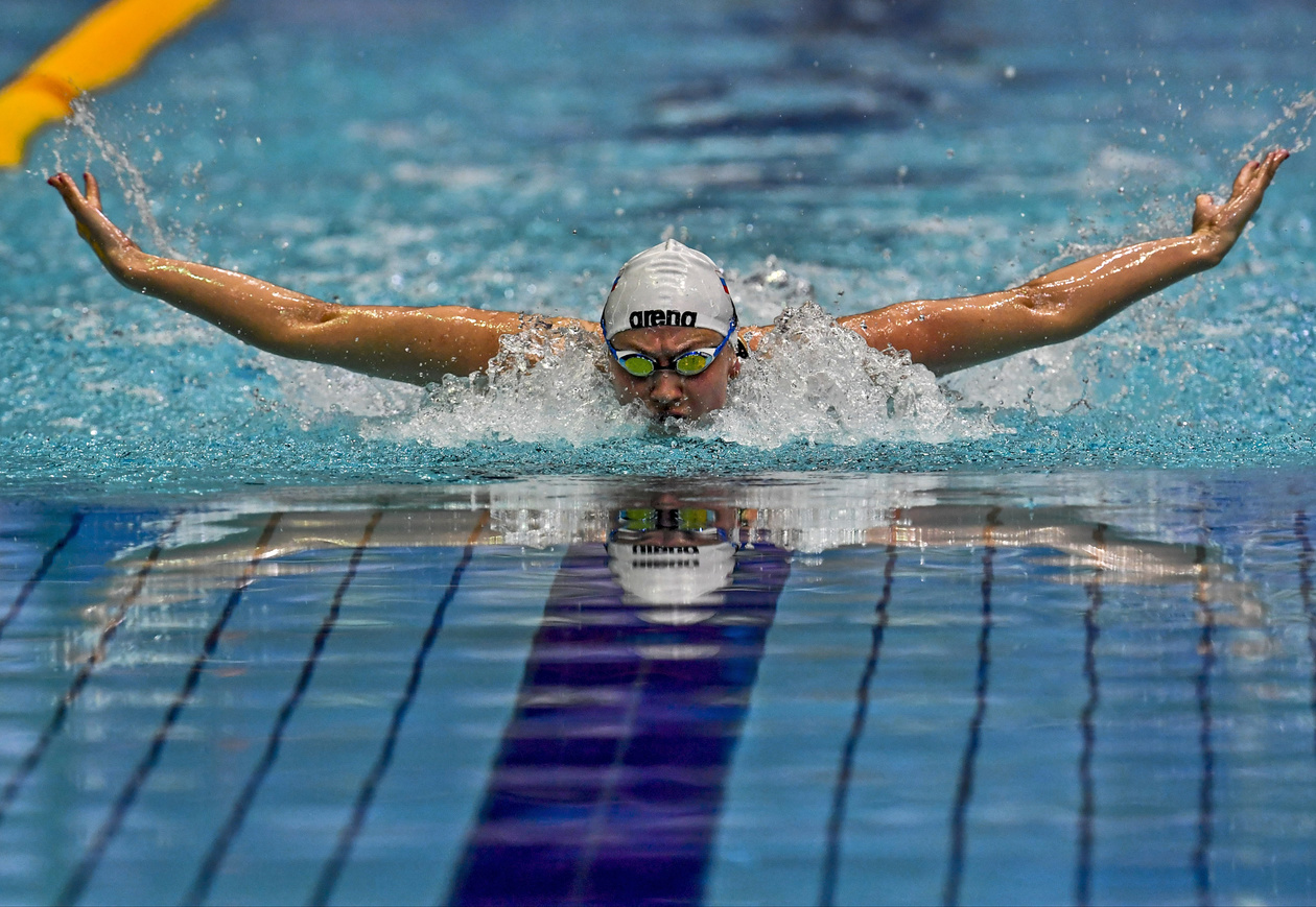 жүзу спорты. плавание в бассейне. плавание брасс баттерфляй россия. жүзу спорты. плавание (спорт).