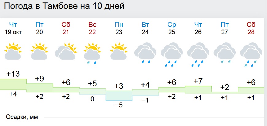 Гисметео санкт петербурге 2 недели погода. Тамбов климат. Погода в Тамбове. Заморозки Тамбовская область. Погода в Тамбове 18 октября.