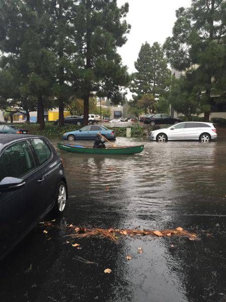 Подборка картинок. Дневной выпуск (51 фото)
