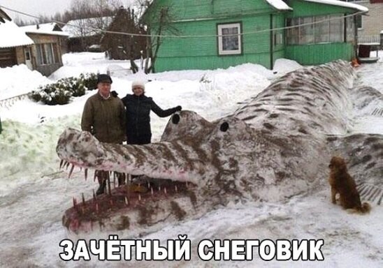 Пробка - это дураки и дороги в одном месте                           