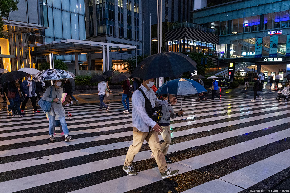 Что японцы делают с мусором Что японцы делают с мусором городская среда, интересное, мусор, парк, путешествия, токио, япония
