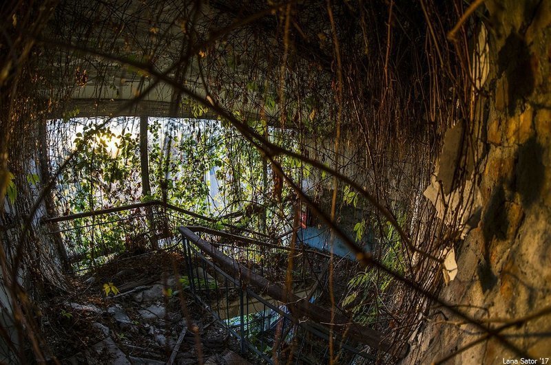 Заросший пионерский лагерь в Крыму Заросший пионерский лагерь в Крыму самостоятельные путешествия,туризм