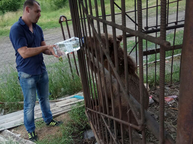 Горожане иногда приносят еду голод, животные, зоопарк