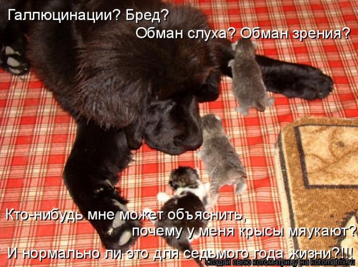 Мысли вслух :)