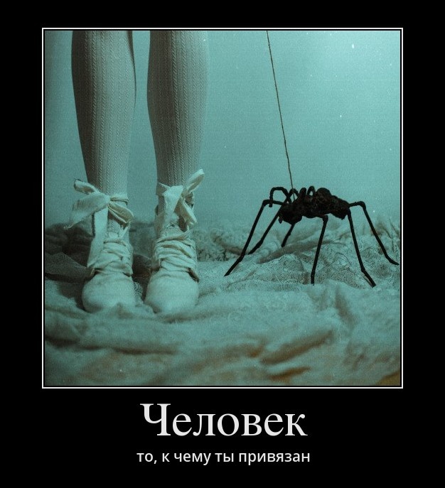 Подборка прикольных и зачетных демотиваторов для улыбки Подборка прикольных и зачетных демотиваторов для улыбки ржачные демотиваторы позитив