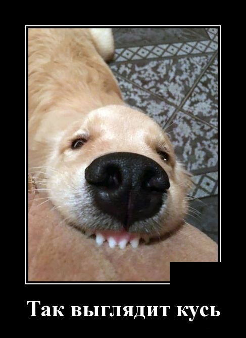 Как взбесить женщину: 1. Скорее всего, ты ее уже бесишь