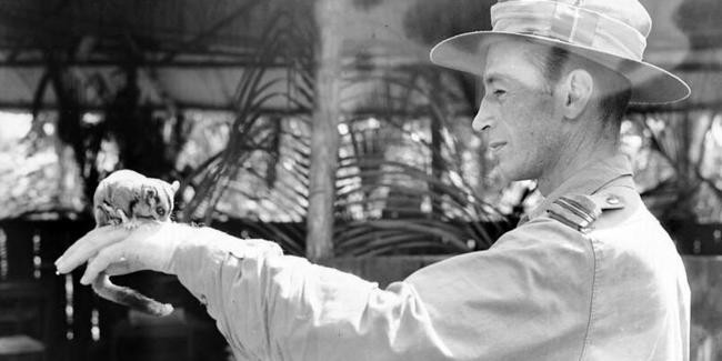 Пингвин Нильс Олаф и еще 4 экзотических животных-талисманов армий мира Пингвин Нильс Олаф и еще 4 экзотических животных-талисманов армий мира животные,интересное,курьезы,природа