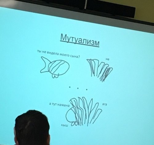 Как выглядит презентация по биологии настоящего прокрастинатора mir-interes.info