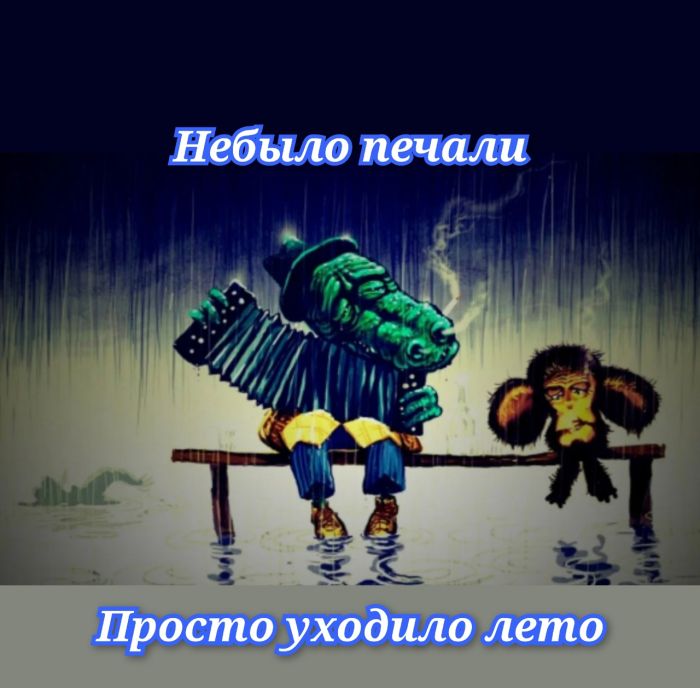 Интернет мемы в воскресение 