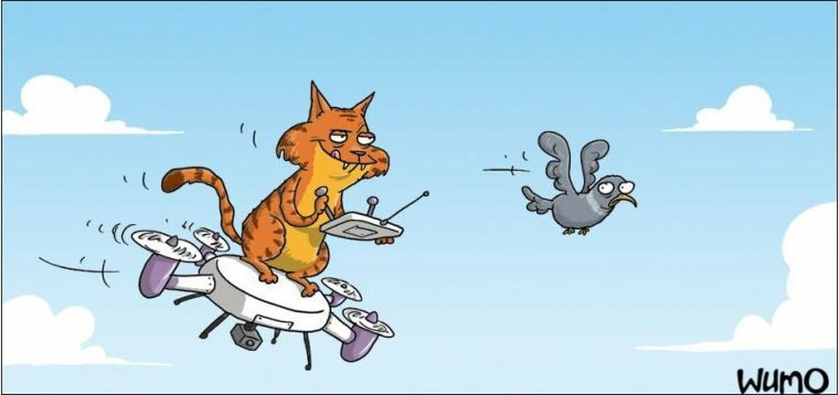 Мой Кот меня бросил...