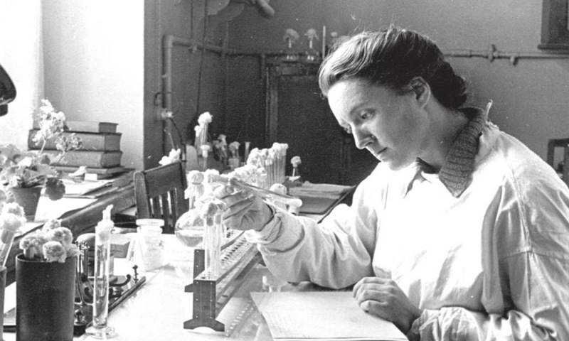 Тиф в 1941–1944: бактериологическая война история