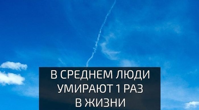 Прикольные картинки с надписью для поднятия настроения (12 фото)