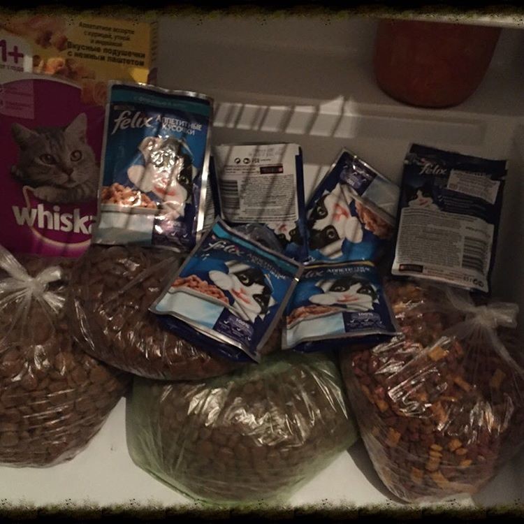 13. Холодильник сильной и независимой женщины смешно, фото, холодильник