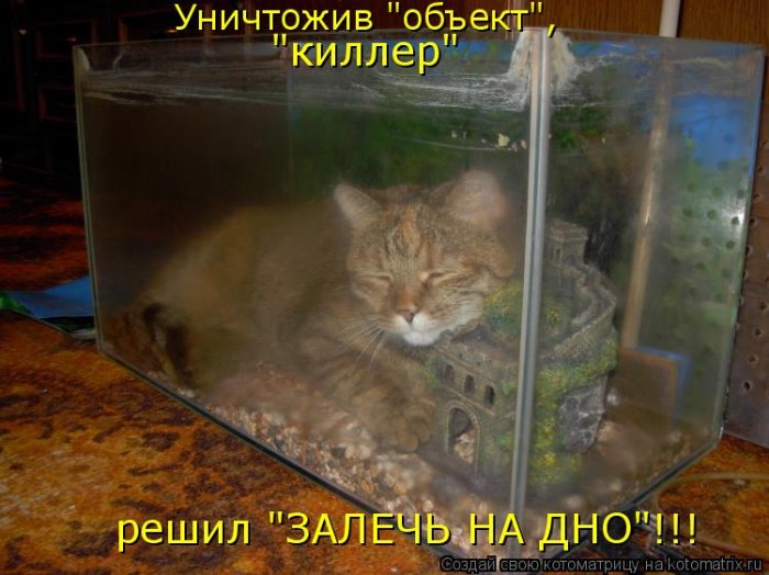 Мысли вслух :)