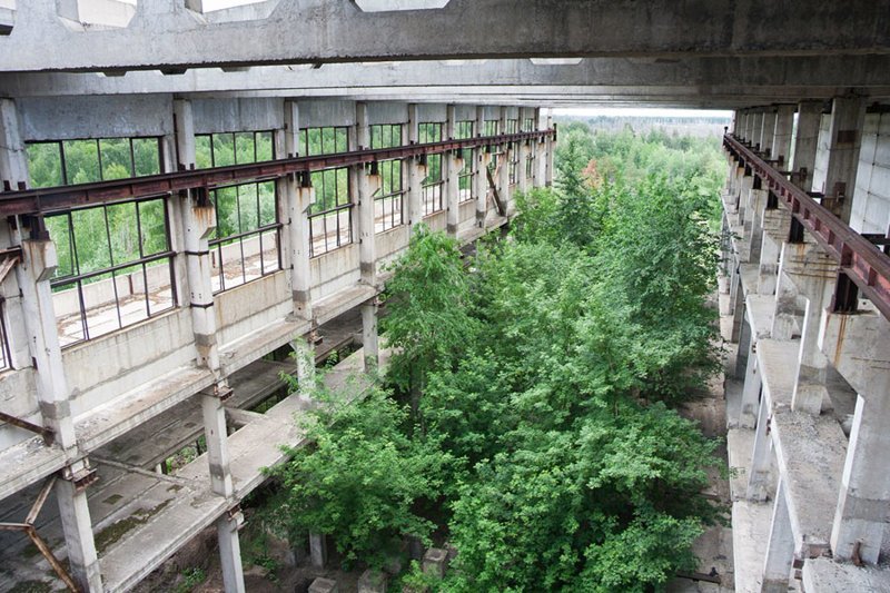 Заросшие руины промышленного здания в Воронежской области в мире, дома, заброшенный, красота, памятник, россия, фото