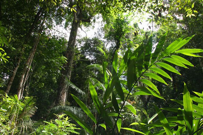 изобретения, секретность