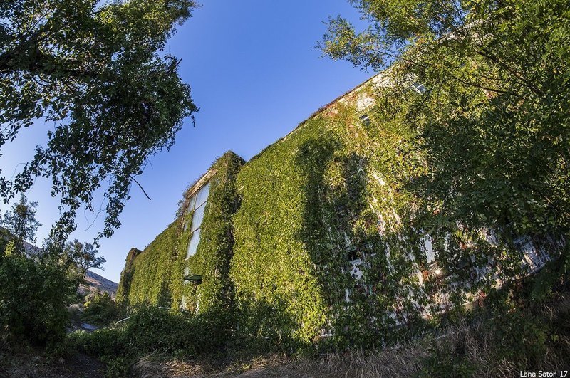 Заросший пионерский лагерь в Крыму Заросший пионерский лагерь в Крыму самостоятельные путешествия,туризм