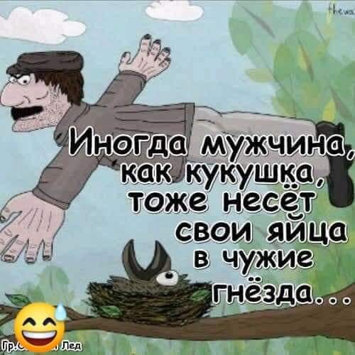 Идет ежик по лесу. И за собой на веревке батон тащит... когда, Девушка, сколько, мужик, говорит, бульон, скрипучем, проезжает, знает, выходит, бросает, девушку, мужПодвез, сказал, сиденье, сказать, червонец, Мужик, велике, молодой