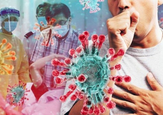 Вирусу невыгодно убивать нас: Учёные заявили о странном этапе мутации COVID-19