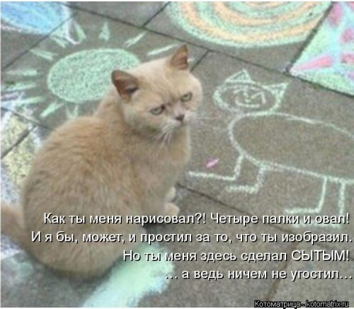 Новая котоматрица (21 фото)