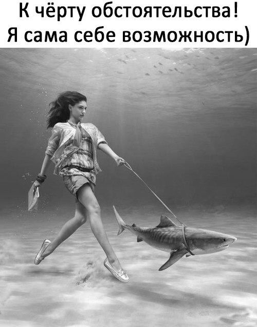 Свежий юмор для хорошего настроения 