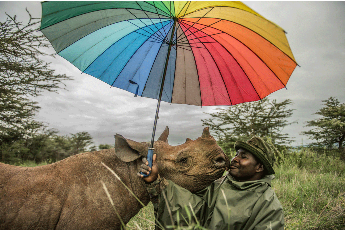Reteti Elephant Sanctuary, Kenya  
Ami Vitale | Missoula, United States