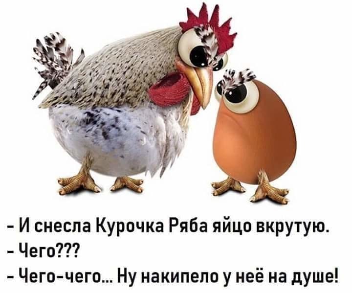 - Вот кто так заправляет постель? Смотри! Сначала простыня, потом подушка... больно, Василий, потом, Иваныч, городов, тяжелые, названия, после, одеяло, болельщик, Сигурдфлордбрадсен, весельеИсландский, шутки, собравшийся, ЧМ2018, пожаловался, Гундермурд, отличие, России, телекамеру