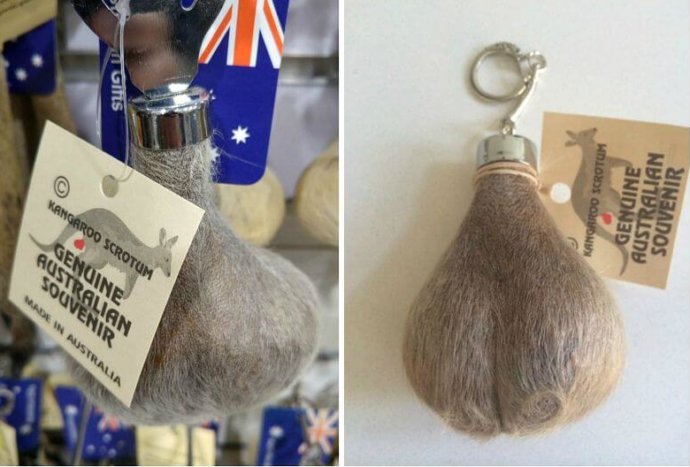 мошонка кенгуру