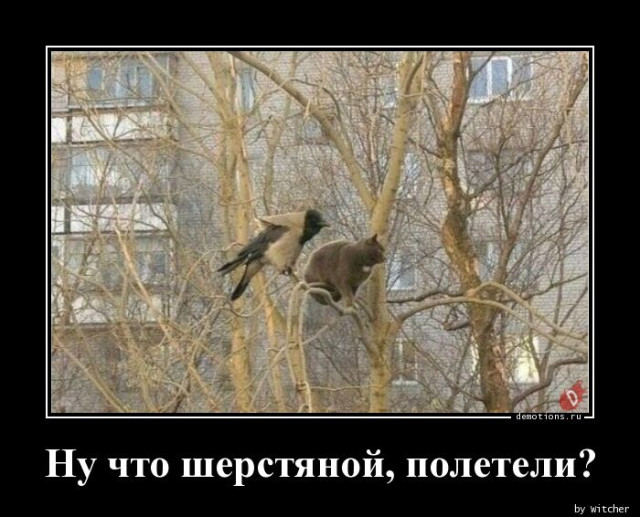 Демотиваторы – приколы: «Со своей сменкой» 