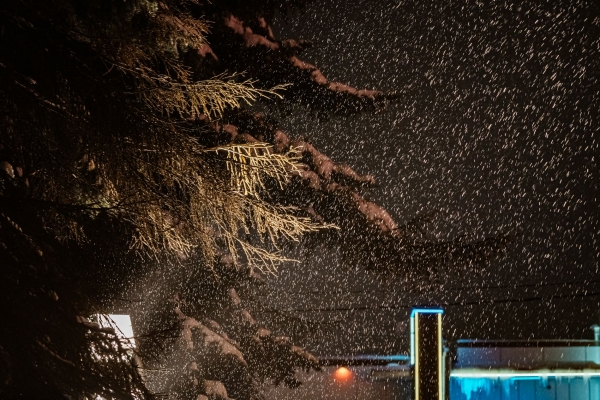 прогноз