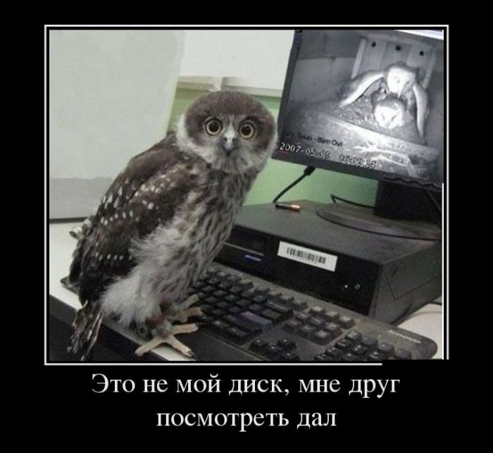 Демотиваторы демотиваторы, прикол, юмор