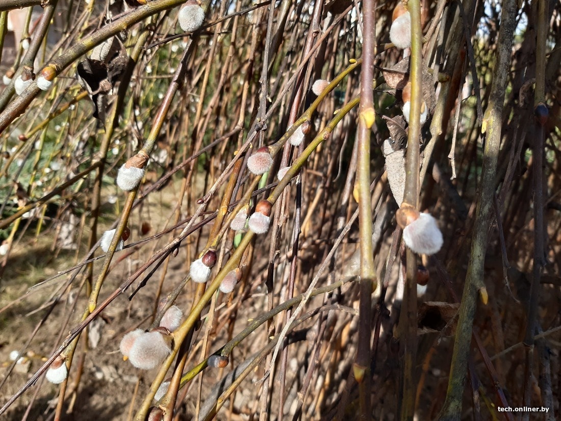 Samsung Galaxy A30 хочет стать вашим смартфоном. Все «за» и «против» samsung galaxy a30