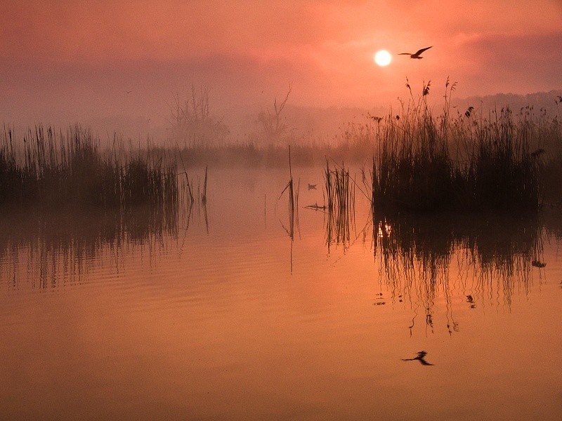 Фотография Flying over the Pond автор Jan Bainar на 500px