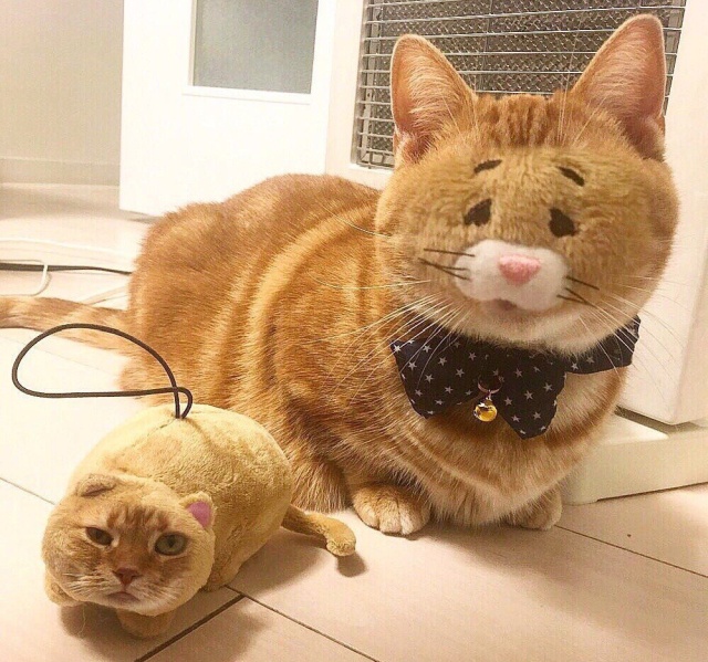 Подборка прикольных картинок Подборка прикольных картинок смешные картинки