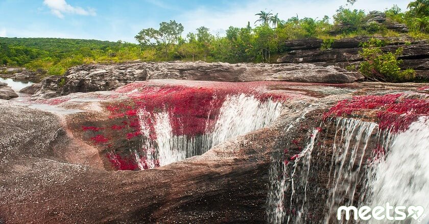 Caño Cristales