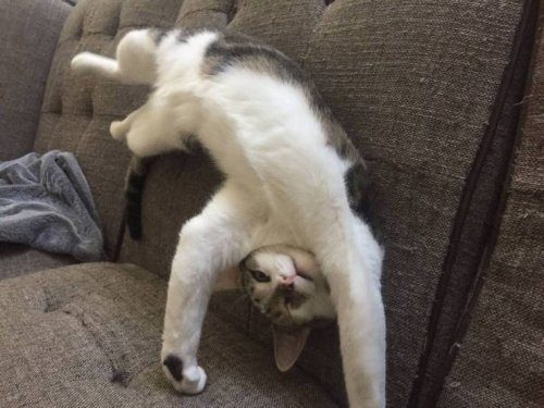 Фотоприколы на любой вкус и цвет 