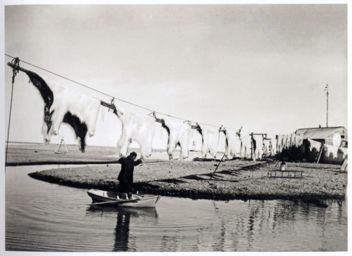 Подборка редких фотографий со всего мира. Часть 15 (25 фото)