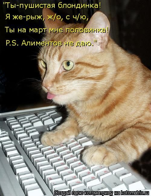 Свежая котоматрица (29 фото)