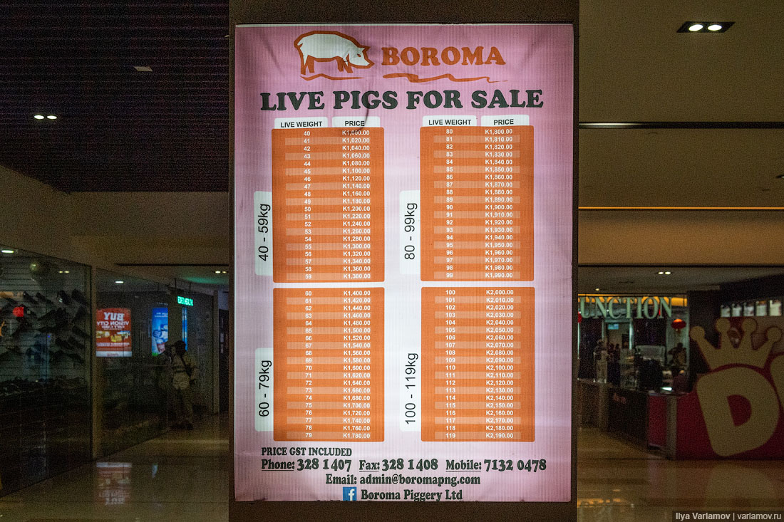 Папуа – Новая Гвинея: трущобы, цены и хорошие люди 