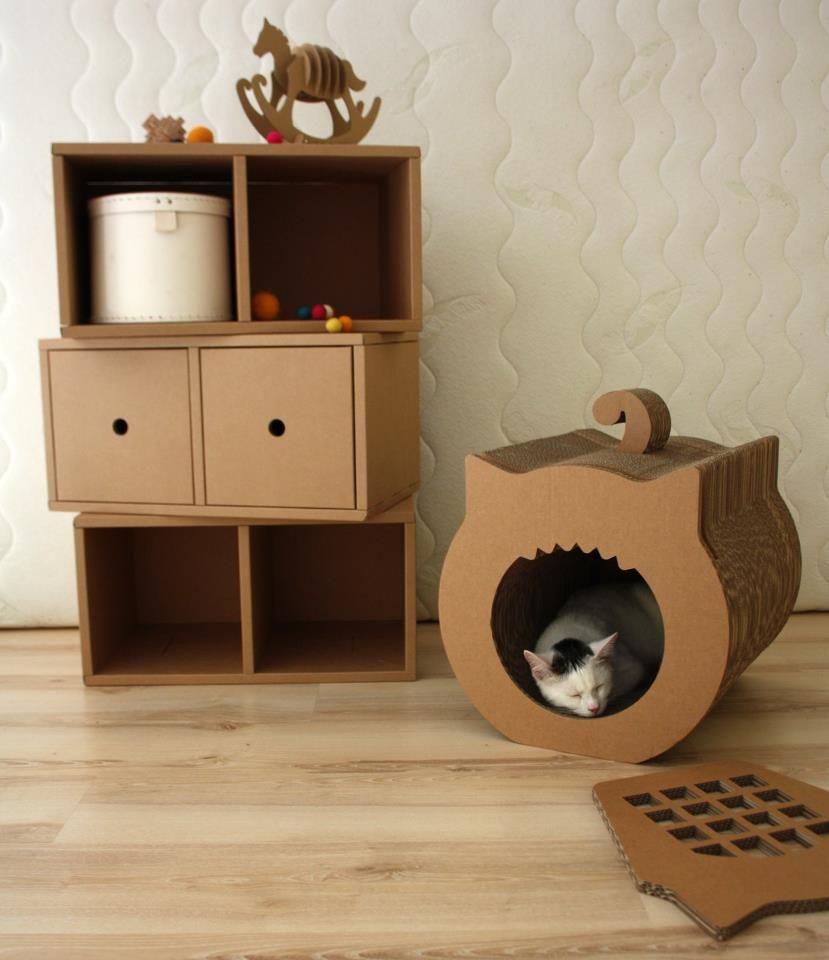 Квартирные идеи для кошек: 36 идей доказать, что они - члены вашей семьи домашний очаг,животные,кошки
