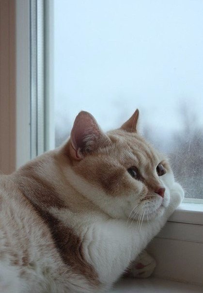 Подборка красочных фото и картинок с надписью со смыслом Подборка красочных фото и картинок с надписью со смыслом