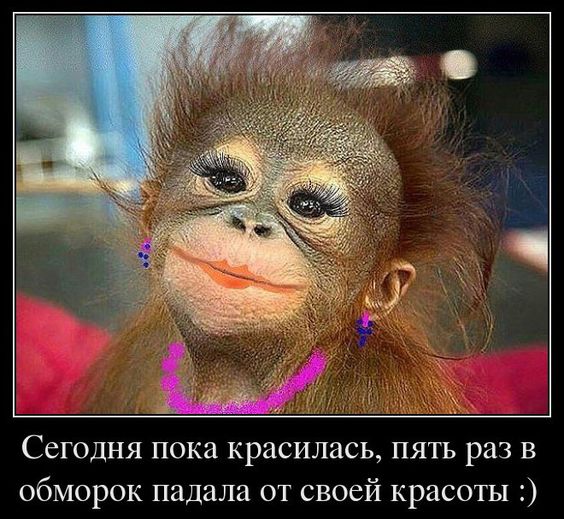 В советское время была только одна программа про животных, она так и называлась - "В мире животных"... Весёлые,прикольные и забавные фотки и картинки,А так же анекдоты и приятное общение