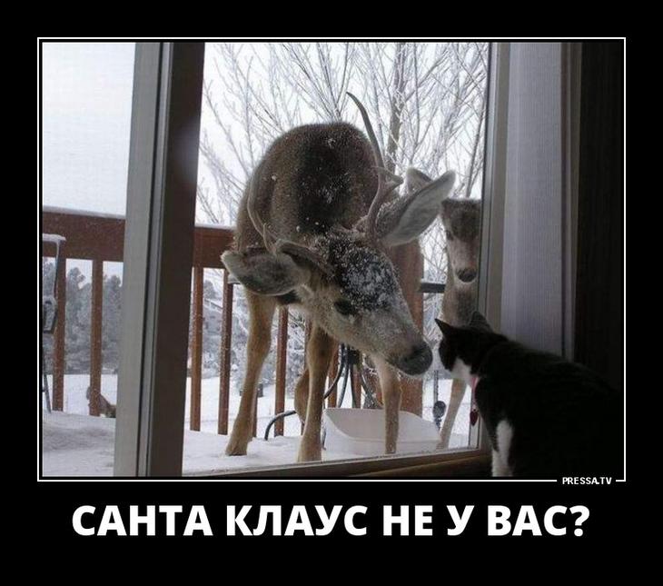 ������� ����� � ����